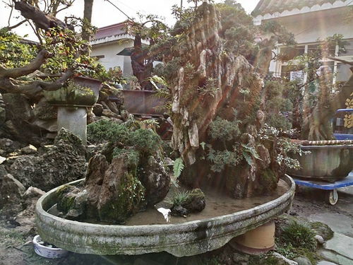 成都市光和園林藝術(shù)有限責(zé)任公司 專業(yè)園林綠化設(shè)計(jì)與施工服務(wù)