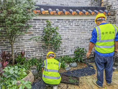禪城嶺南盛世茶舍園林綠化工程進入收尾，精細化養護開啟新篇章