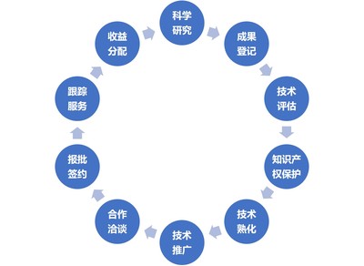 技術(shù)轉(zhuǎn)移、技術(shù)服務(wù)與技術(shù)推廣 驅(qū)動(dòng)創(chuàng)新的三駕馬車